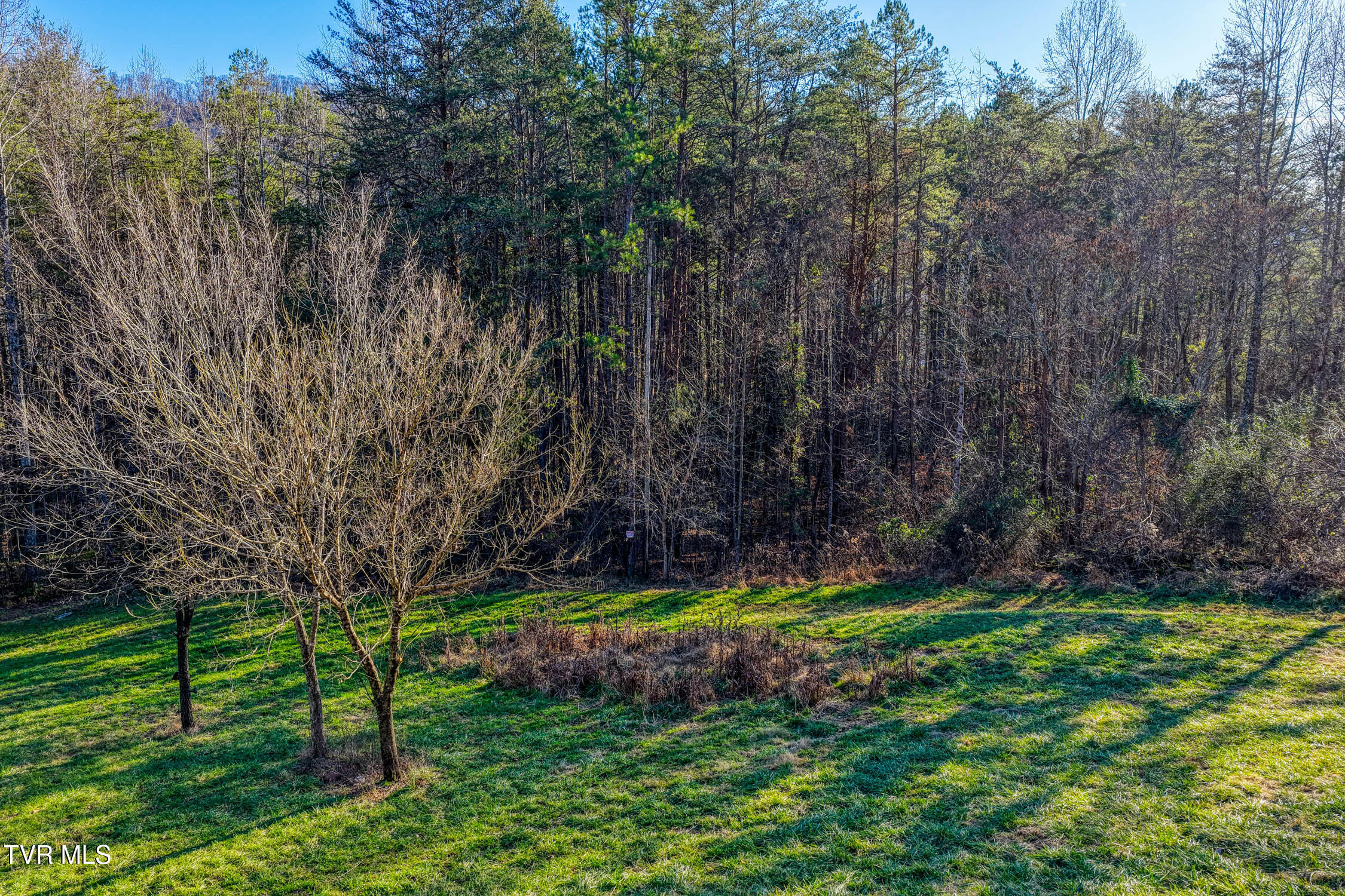 770 Butcher Valley Road, Unit 3 Rogersville, TN 37857 - Photo 6 of 19 770 Butcher Valley MLSa (5 of 19)