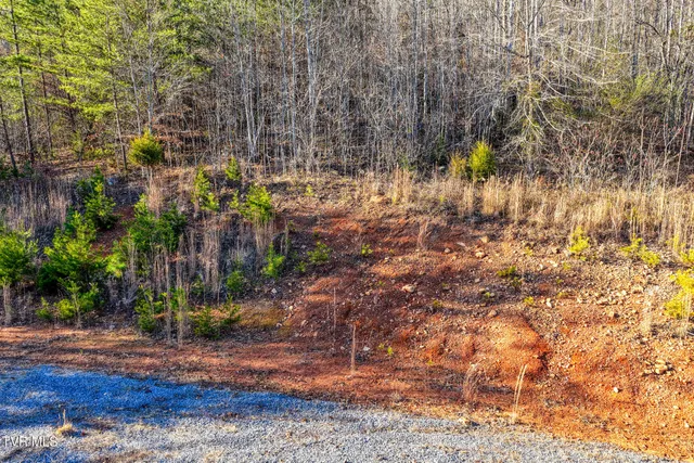 $279,900 | 770 Butcher Valley Road, Unit 3, Rogersville, TN 37857