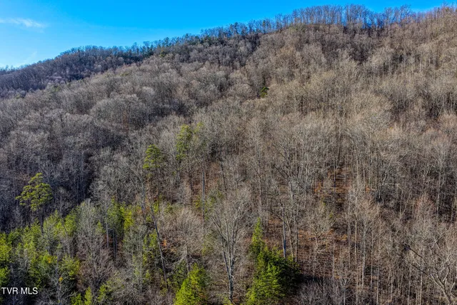 $279,900 | 770 Butcher Valley Road, Unit 3, Rogersville, TN 37857