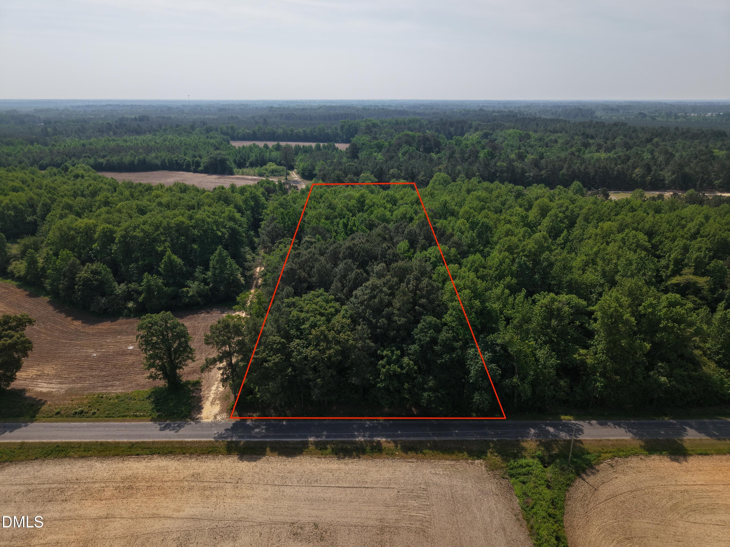0 Mintz Road Roseboro, NC 28382 - Photo 8 of 16
