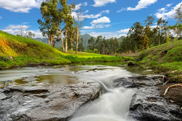 $13,000,000 | 2818 Kamookoa Road, Unit 5, Kilauea, HI 96754