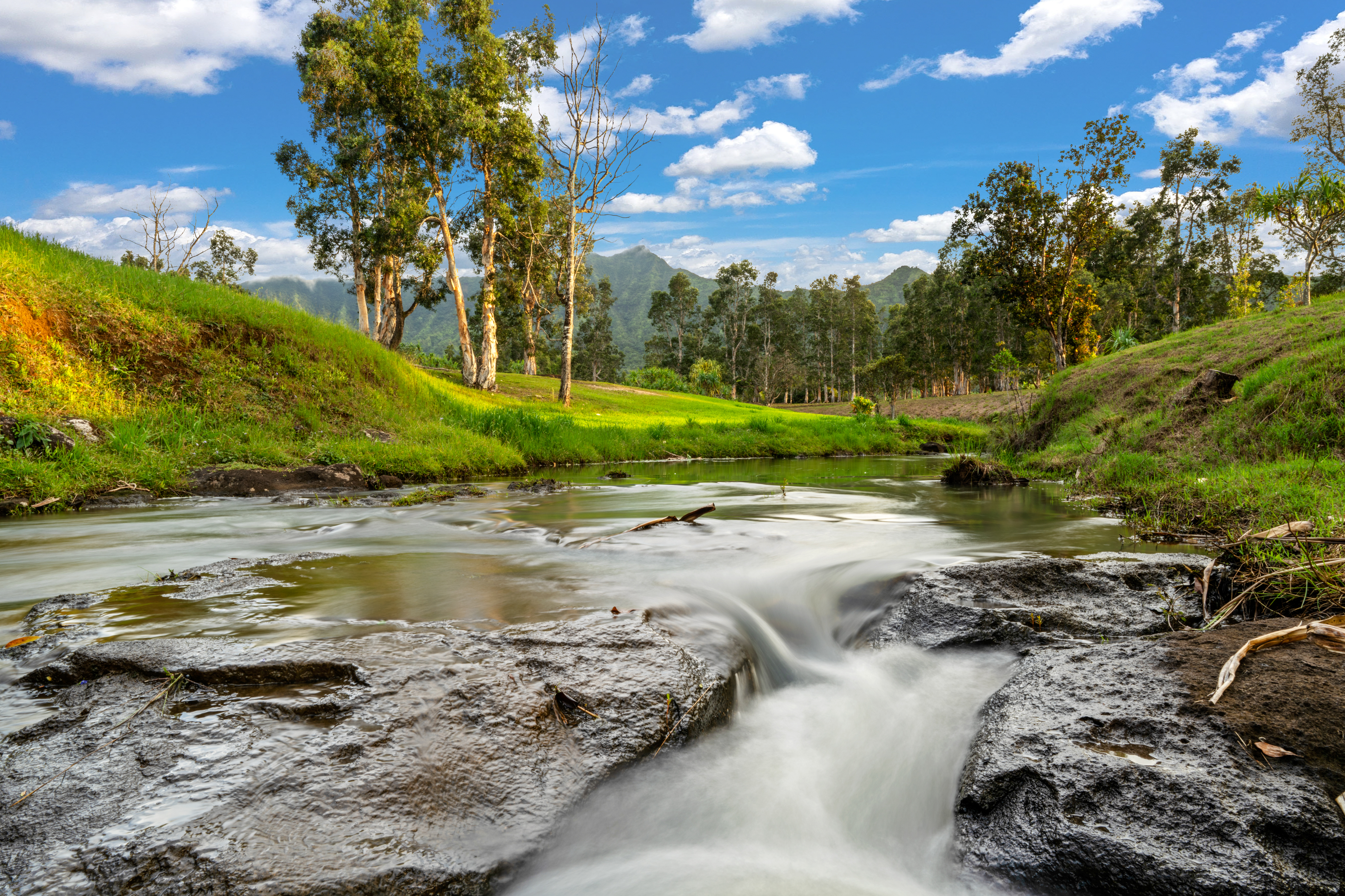 a view of a lake with a yard