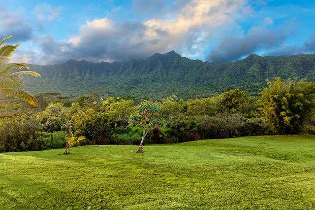 $13,000,000 | 2818 Kamookoa Road, Unit 5, Kilauea, HI 96754