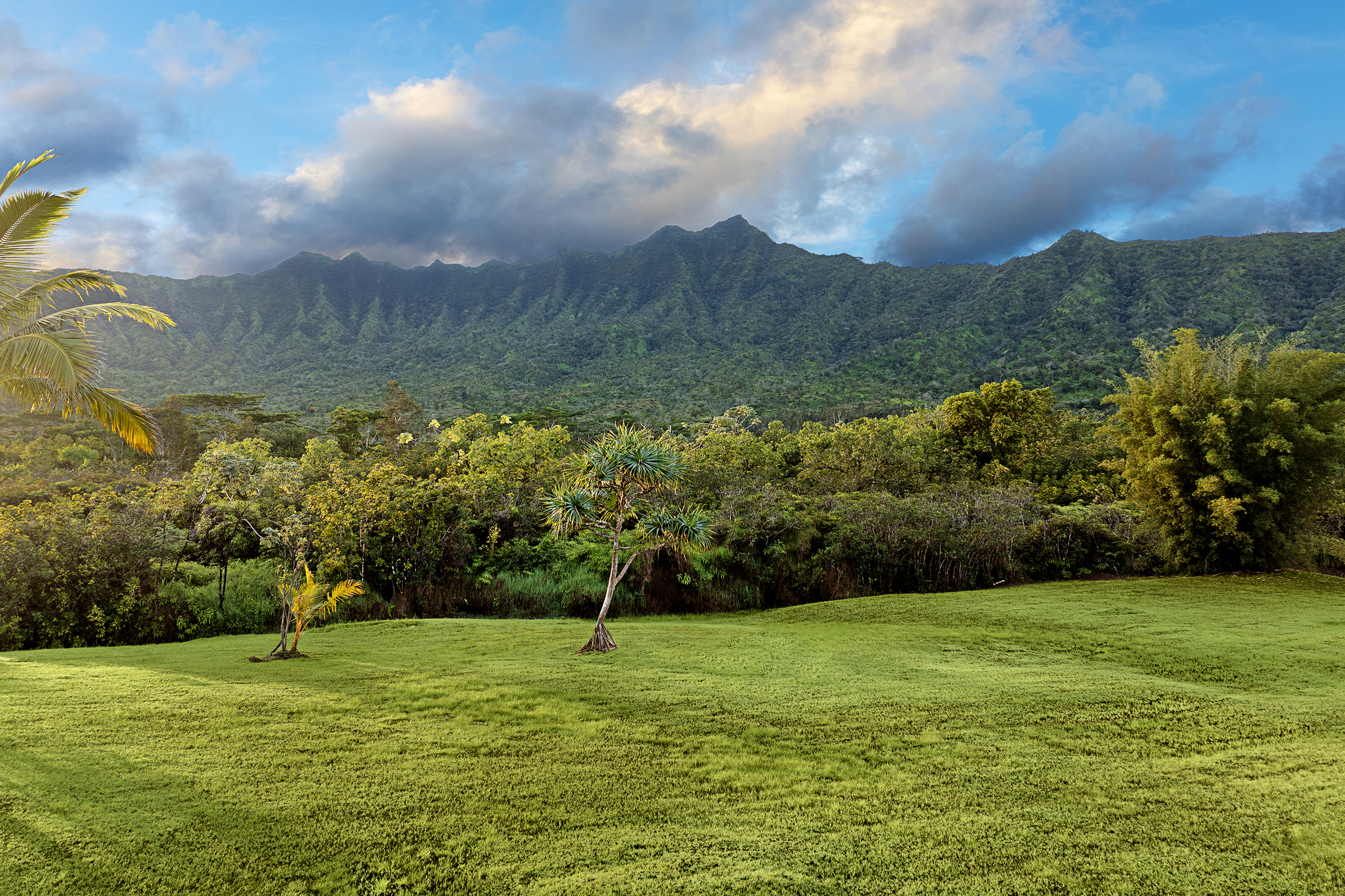 2818 Kamookoa Road, Unit 5 Kilauea, HI 96754 - Photo 13 of 29 a view of a green field