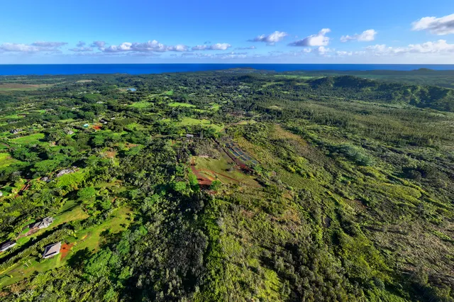 $13,000,000 | 2818 Kamookoa Road, Unit 5, Kilauea, HI 96754