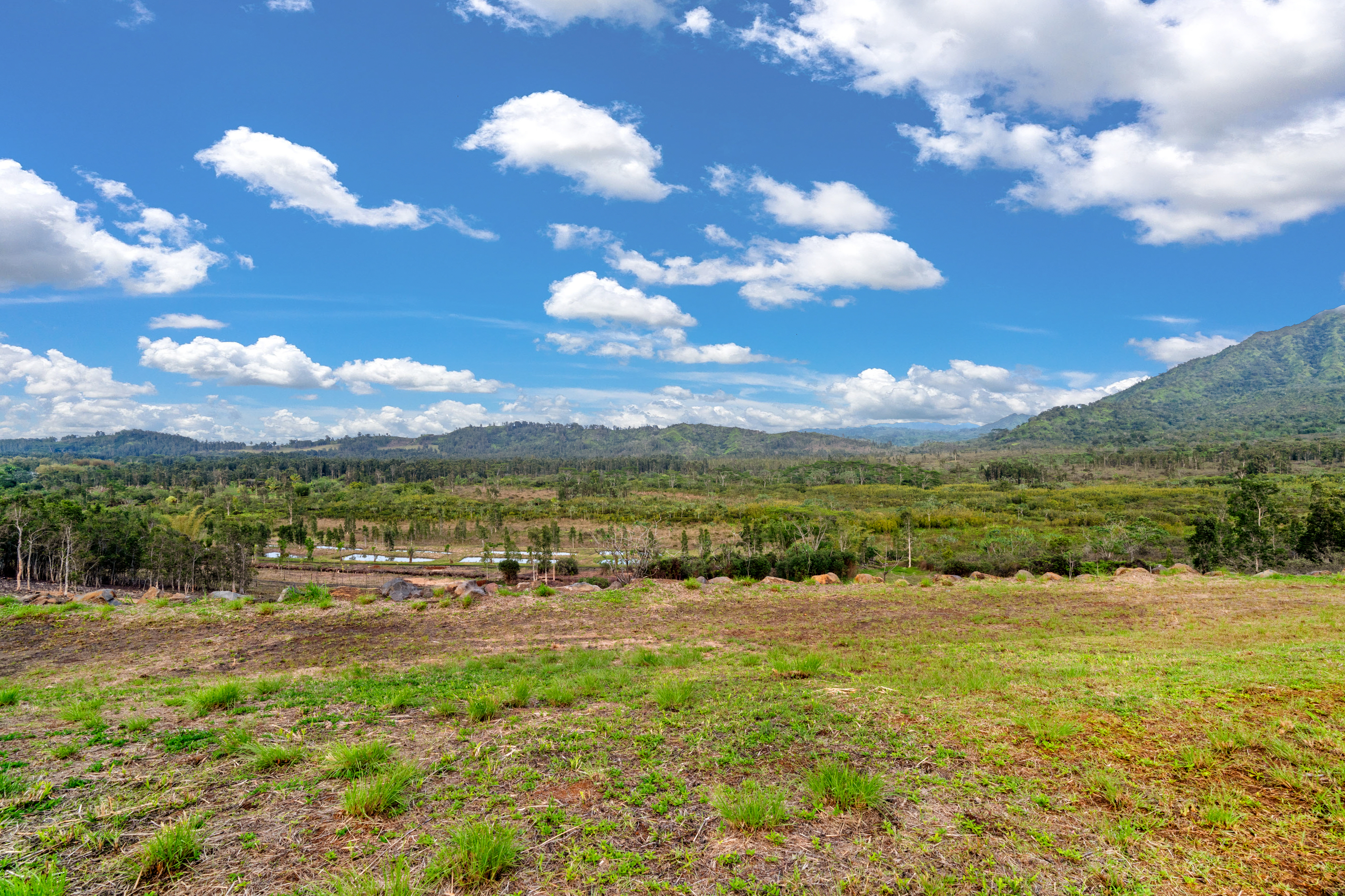 2818 Kamookoa Road, Unit 5 Kilauea, HI 96754 - Photo 14 of 24