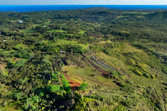$13,000,000 | 2818 Kamookoa Road, Unit 5, Kilauea, HI 96754