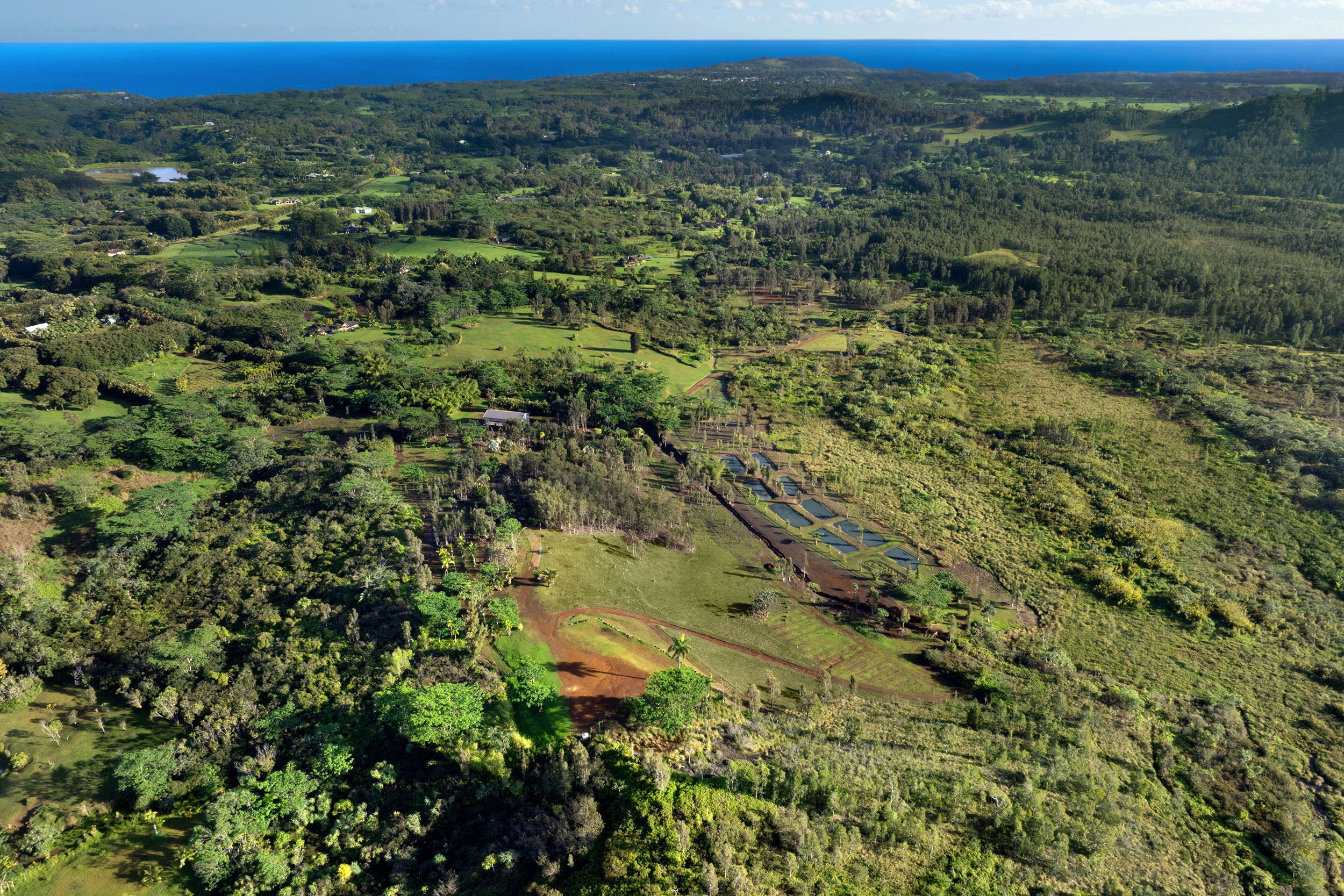 2818 Kamookoa Road, Unit 5 Kilauea, HI 96754 - Photo 15 of 29 a view of a large green field