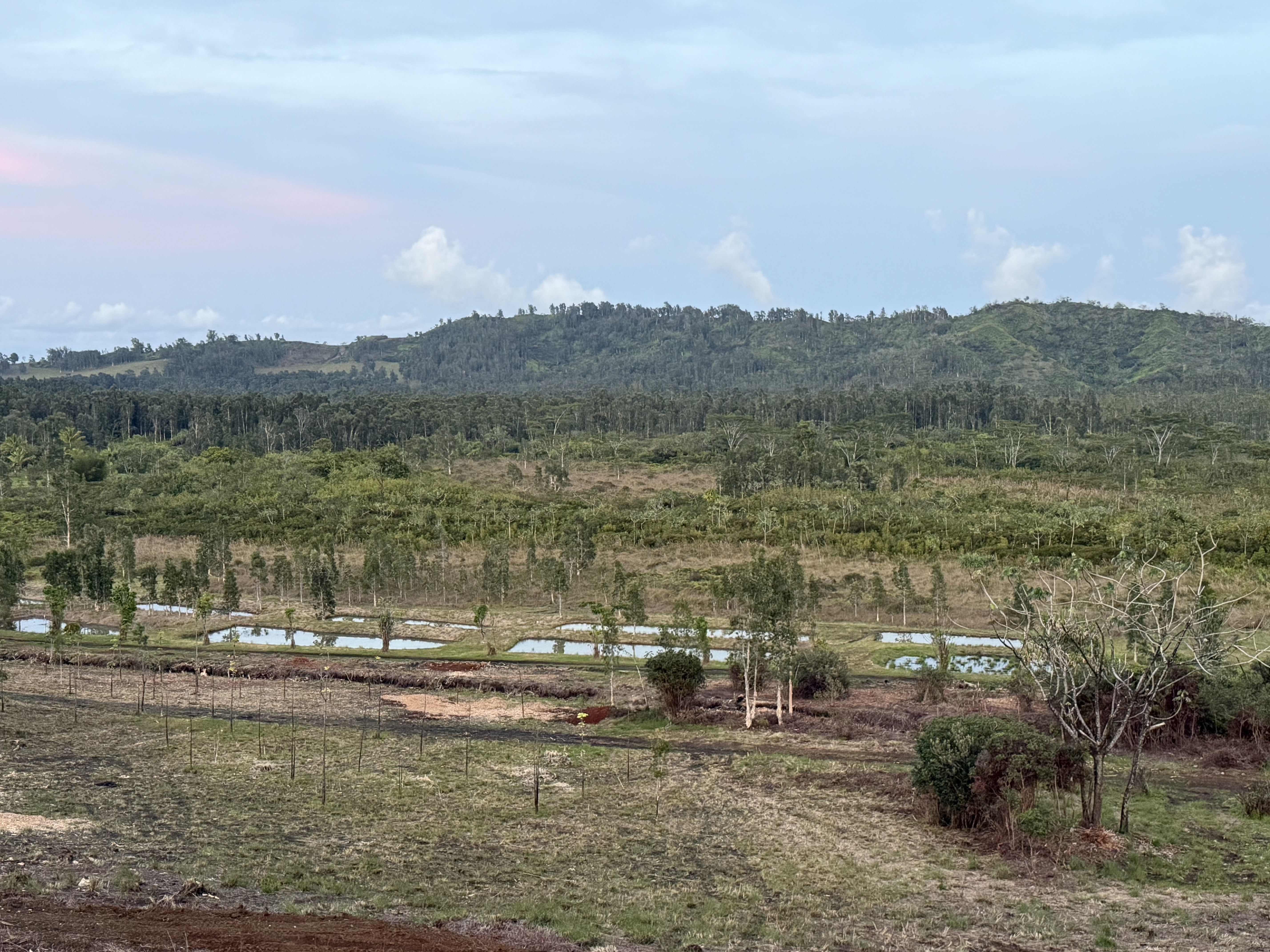 2818 Kamookoa Road, Unit 5 Kilauea, HI 96754 - Photo 17 of 24