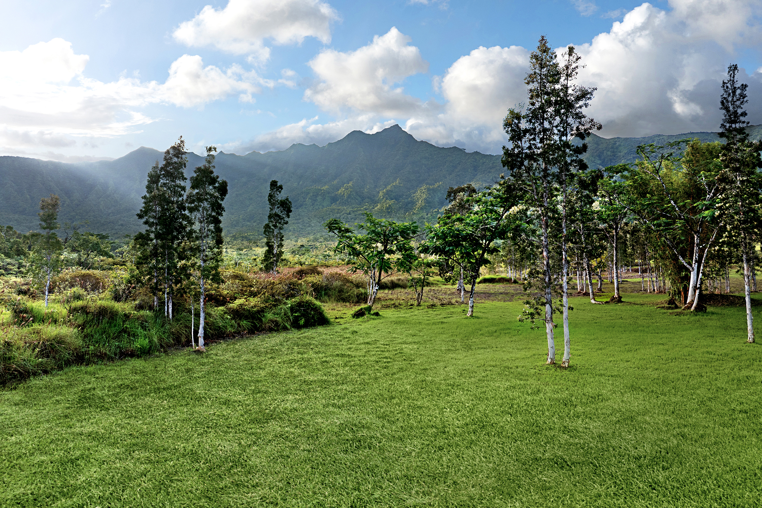 2818 Kamookoa Road, Unit 5 Kilauea, HI 96754 - Photo 17 of 29 a view of a garden with a fountain