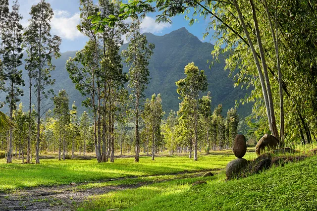 $13,000,000 | 2818 Kamookoa Road, Unit 5, Kilauea, HI 96754