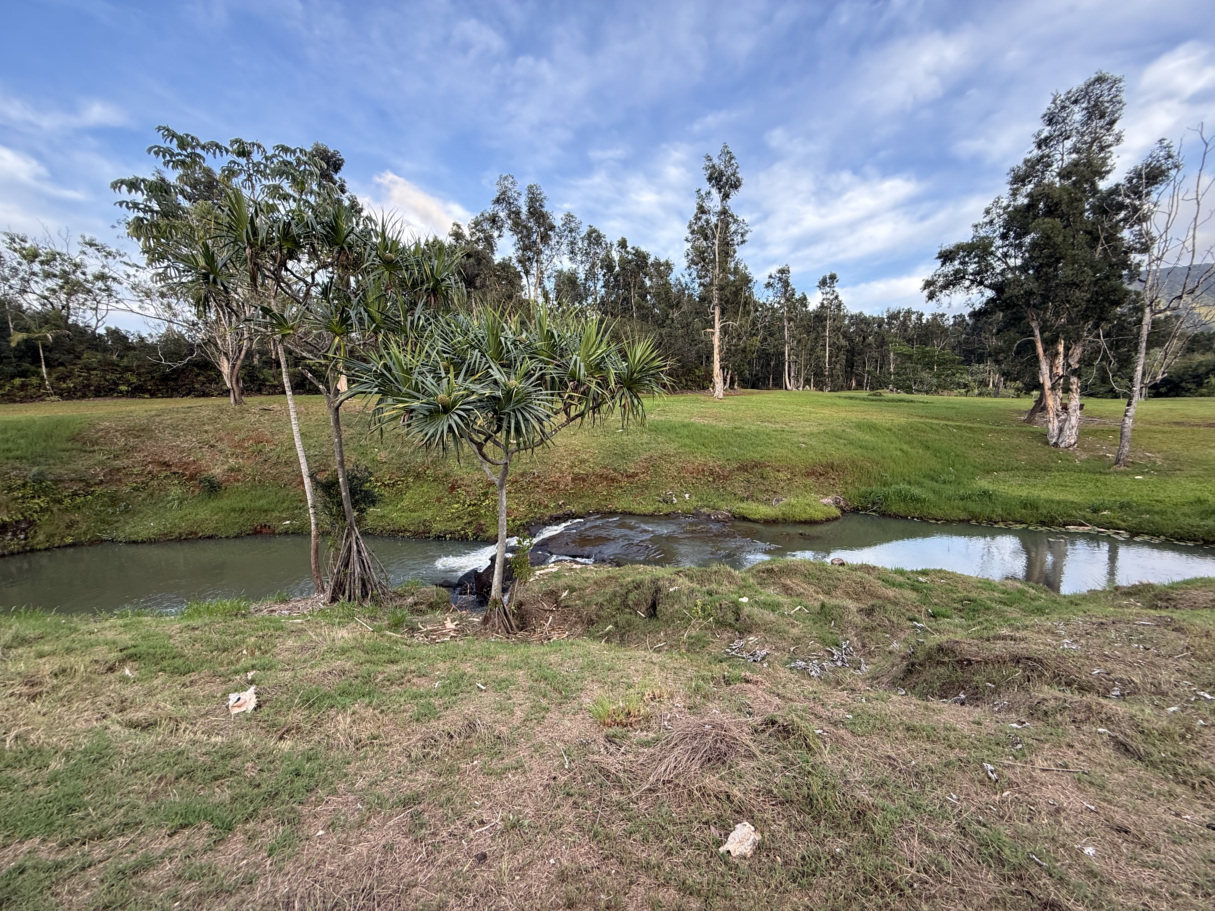 2818 Kamookoa Road, Unit 5 Kilauea, HI 96754 - Photo 19 of 24