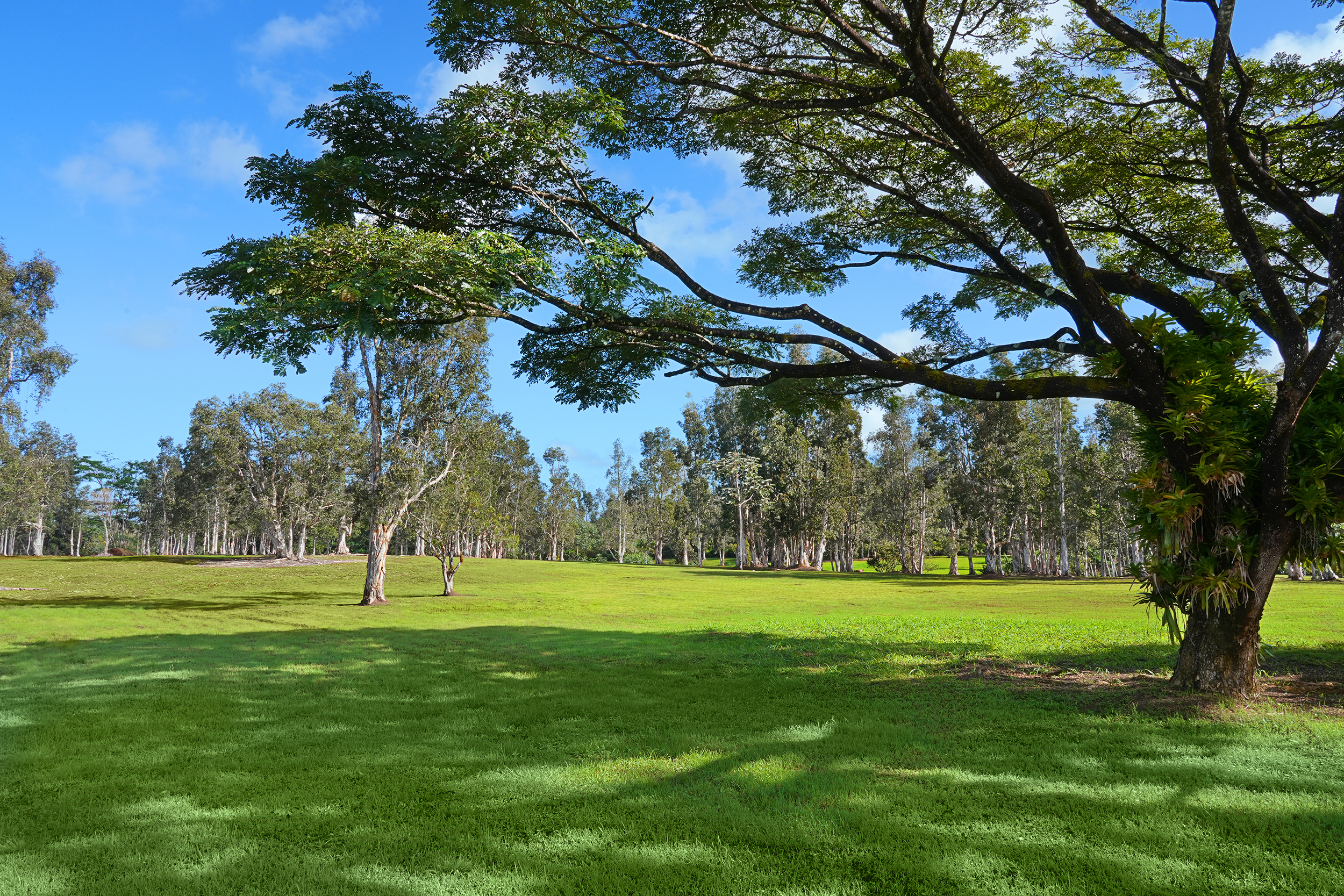 2818 Kamookoa Road, Unit 5 Kilauea, HI 96754 - Photo 20 of 29 a view of a volley ball court