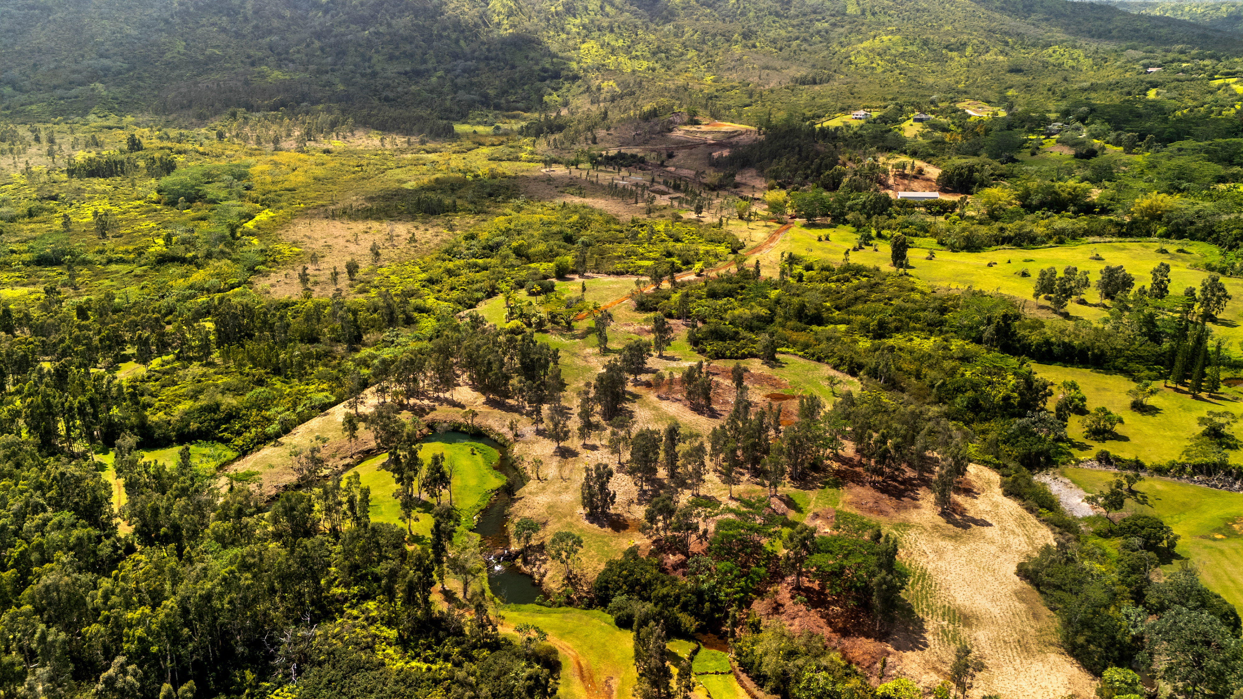 2818 Kamookoa Road, Unit 5 Kilauea, HI 96754 - Photo 2 of 24