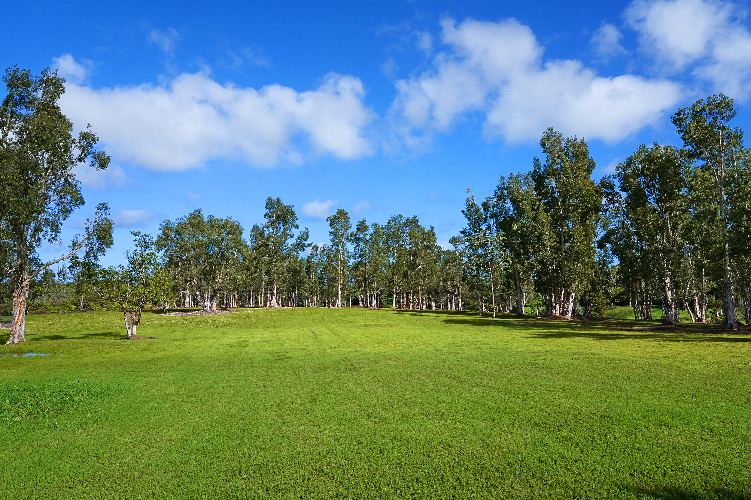 2818 Kamookoa Road, Unit 5 Kilauea, HI 96754 - Photo 21 of 29 a view of a golf course