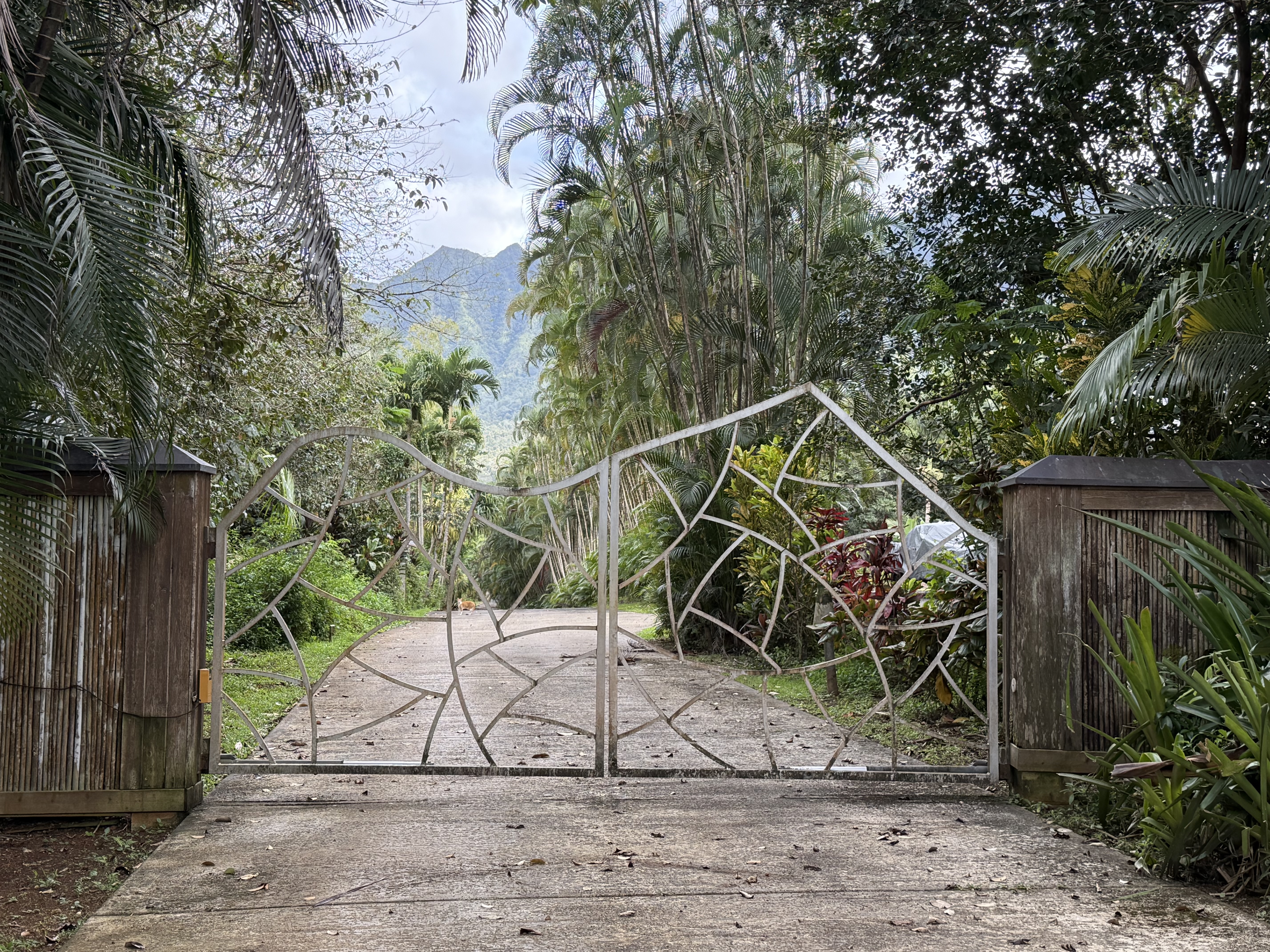 2818 Kamookoa Road, Unit 5 Kilauea, HI 96754 - Photo 22 of 24