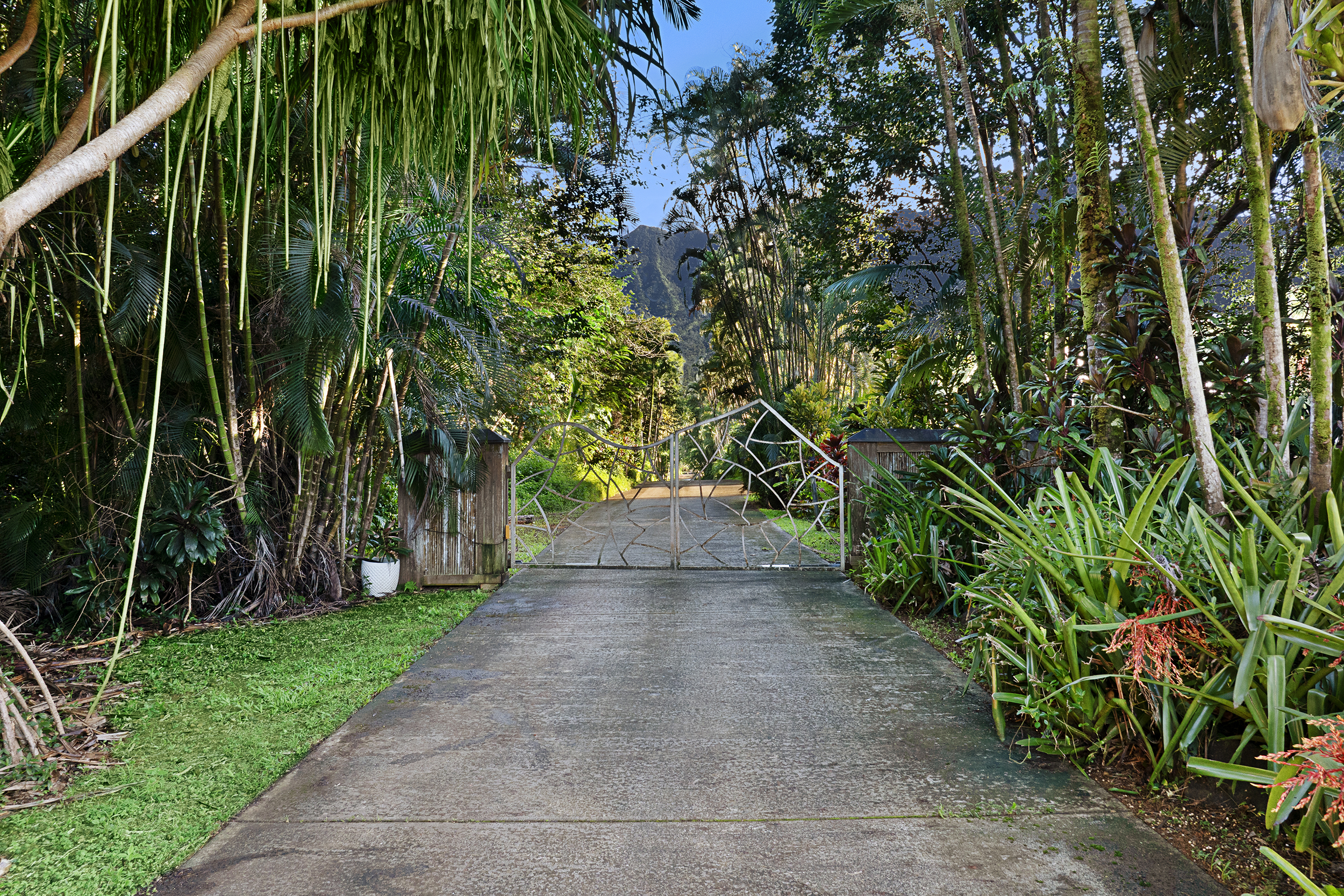2818 Kamookoa Road, Unit 5 Kilauea, HI 96754 - Photo 22 of 29 a view of a yard with plants and trees