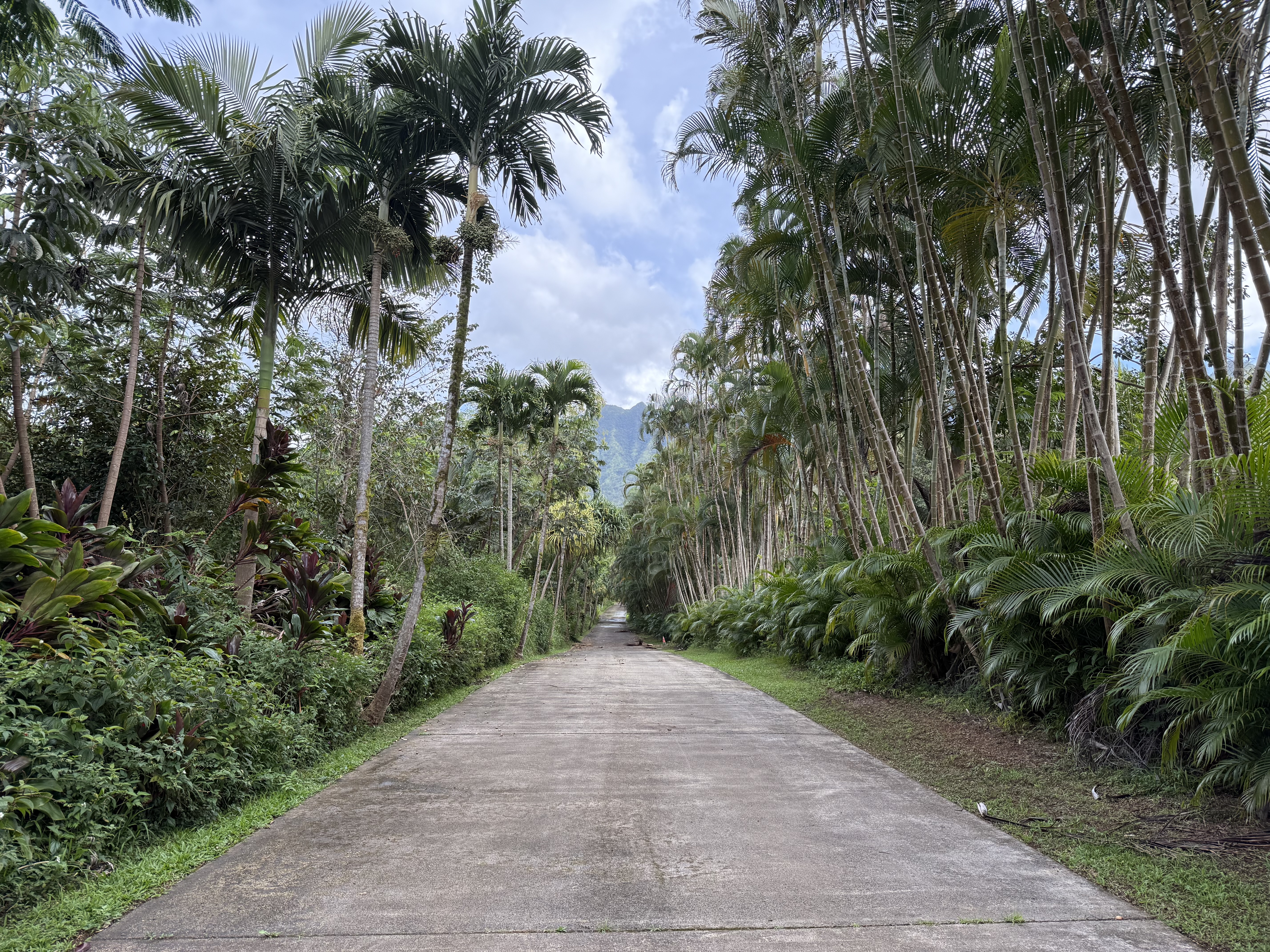 2818 Kamookoa Road, Unit 5 Kilauea, HI 96754 - Photo 23 of 24