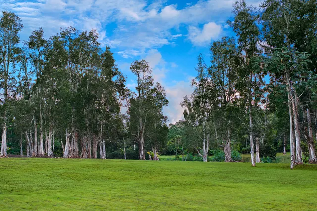 $13,000,000 | 2818 Kamookoa Road, Unit 5, Kilauea, HI 96754