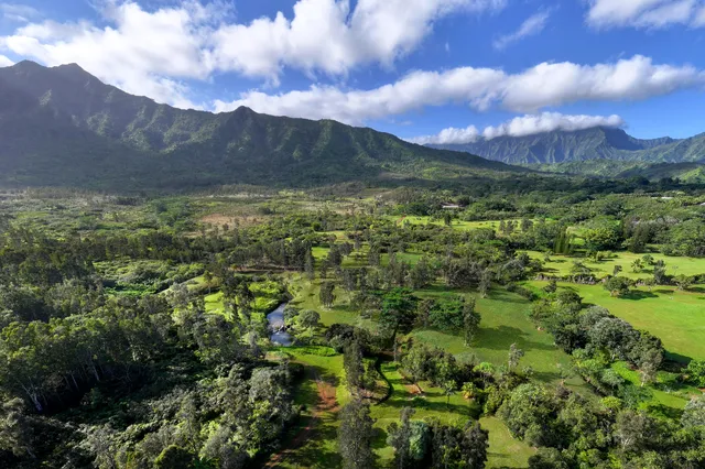 $13,000,000 | 2818 Kamookoa Road, Unit 5, Kilauea, HI 96754