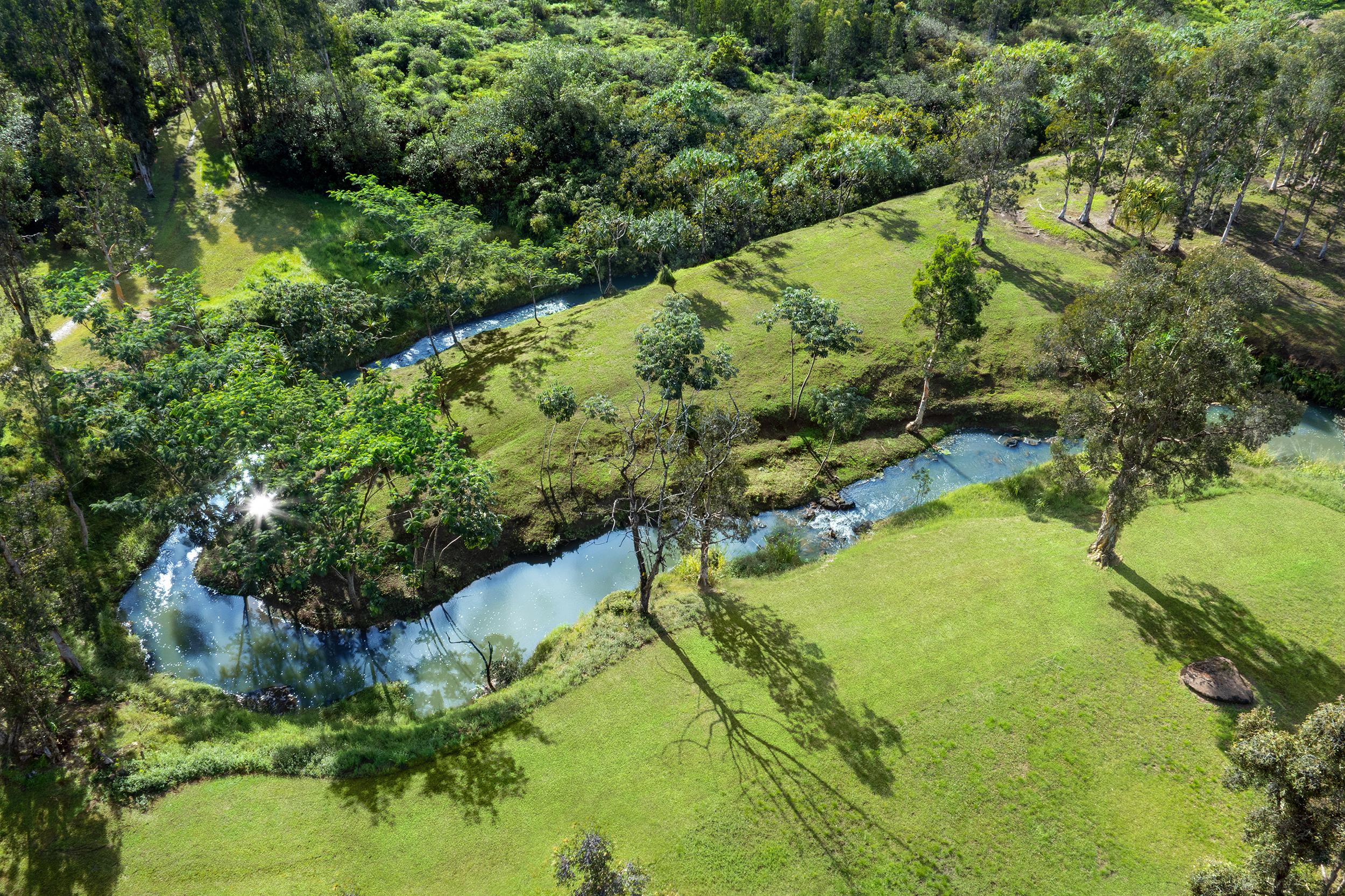 2818 Kamookoa Road, Unit 5 Kilauea, HI 96754 - Photo 26 of 29 a view of a garden