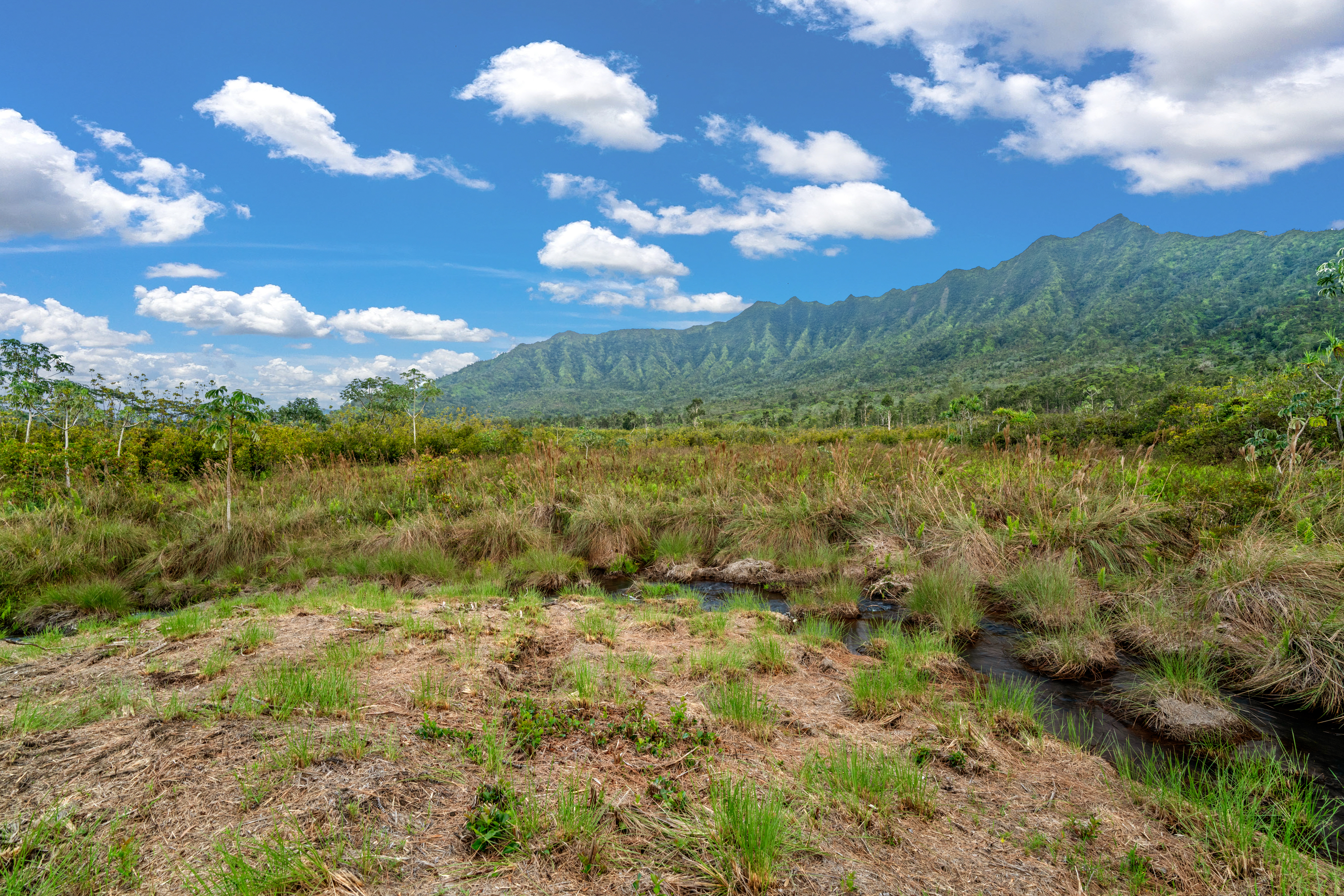 2818 Kamookoa Road, Unit 5 Kilauea, HI 96754 - Photo 27 of 29 a view of lake with mountain view