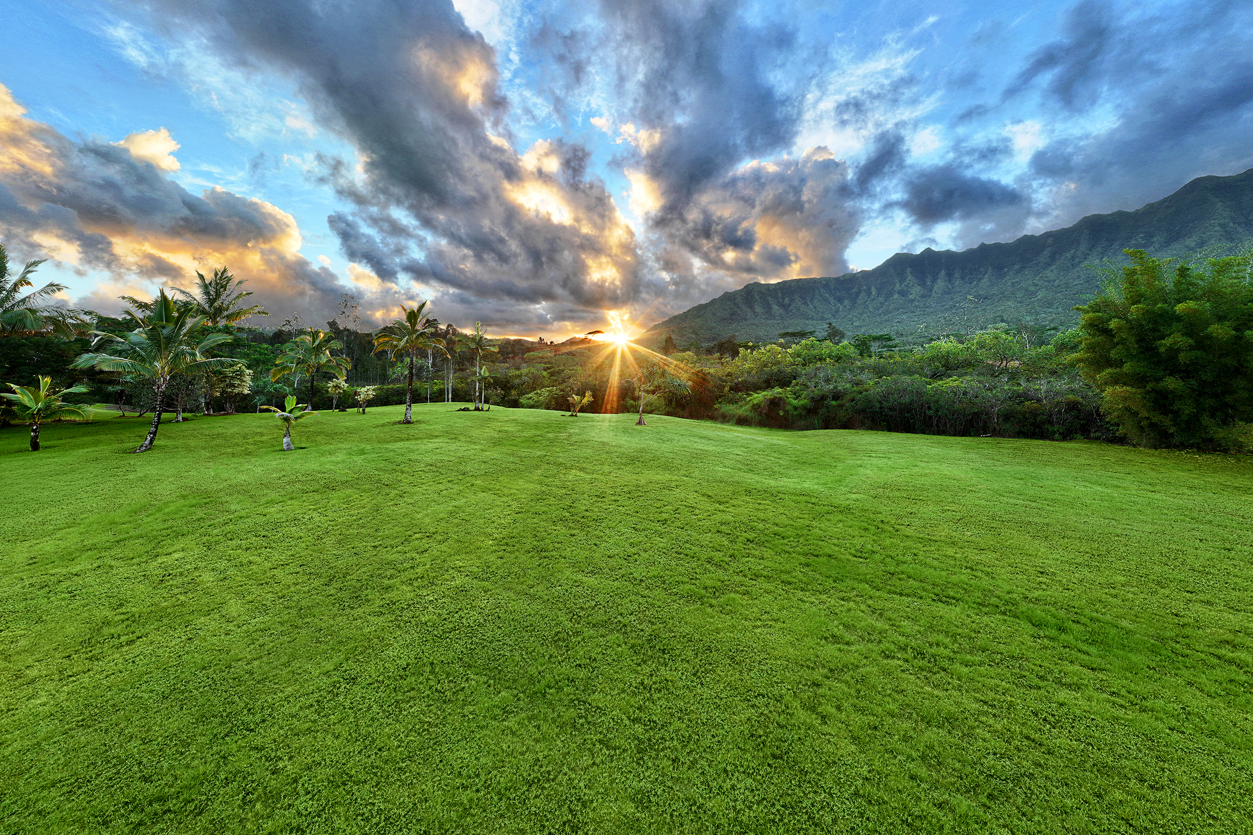 2818 Kamookoa Road, Unit 5 Kilauea, HI 96754 - Photo 3 of 29 a view of a grassy field with clear sky