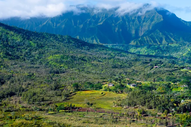 $13,000,000 | 2818 Kamookoa Road, Unit 5, Kilauea, HI 96754