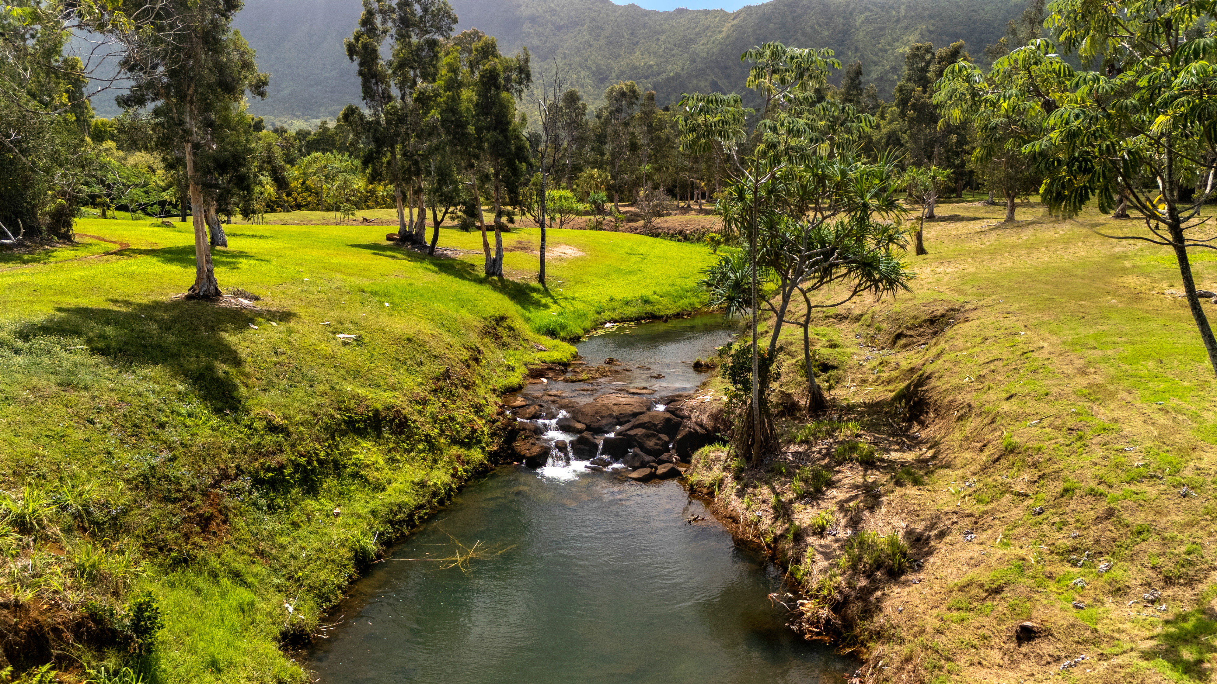 2818 Kamookoa Road, Unit 5 Kilauea, HI 96754 - Photo 5 of 24