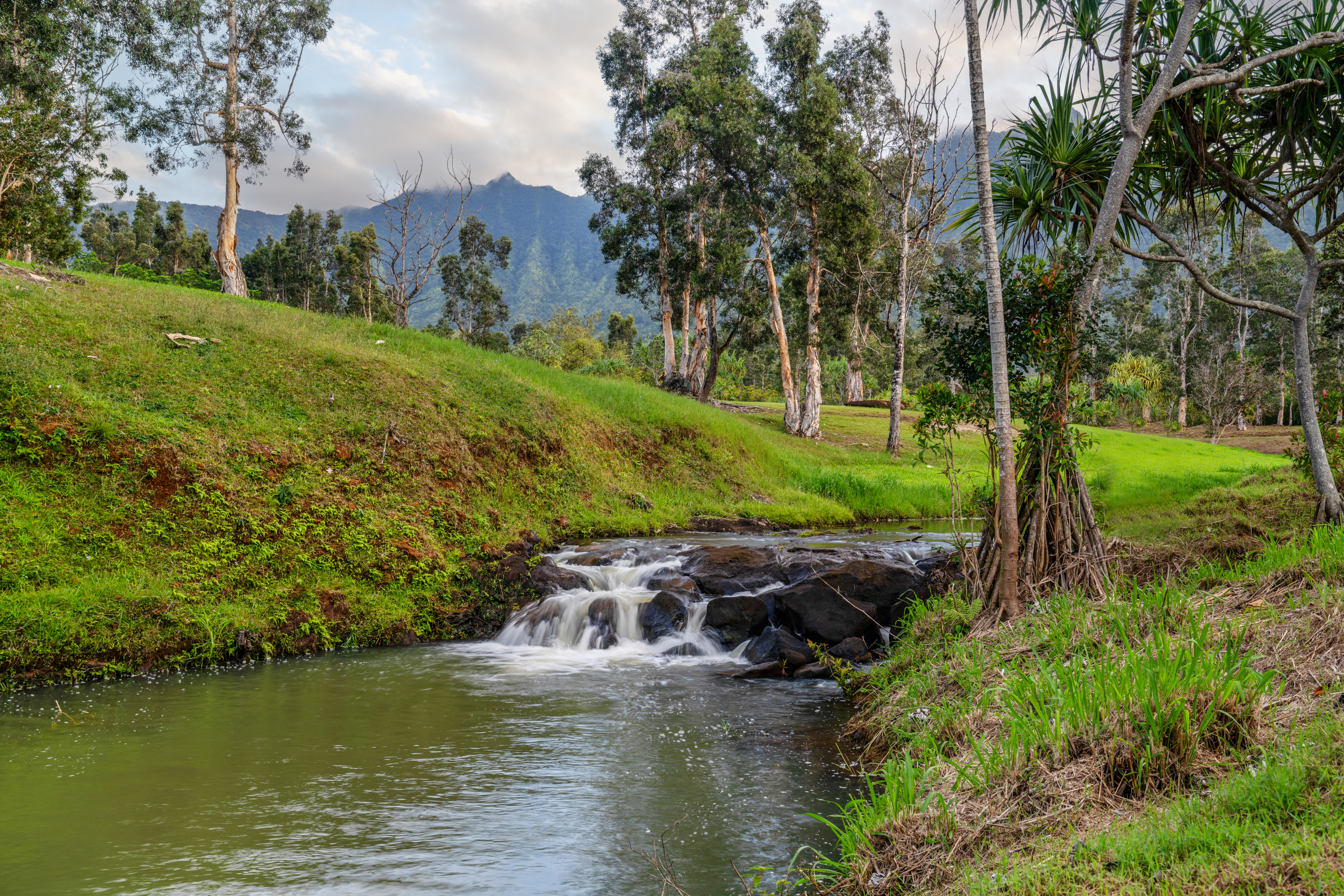 2818 Kamookoa Road, Unit 5 Kilauea, HI 96754 - Photo 7 of 24