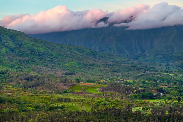 $13,000,000 | 2818 Kamookoa Road, Unit 5, Kilauea, HI 96754