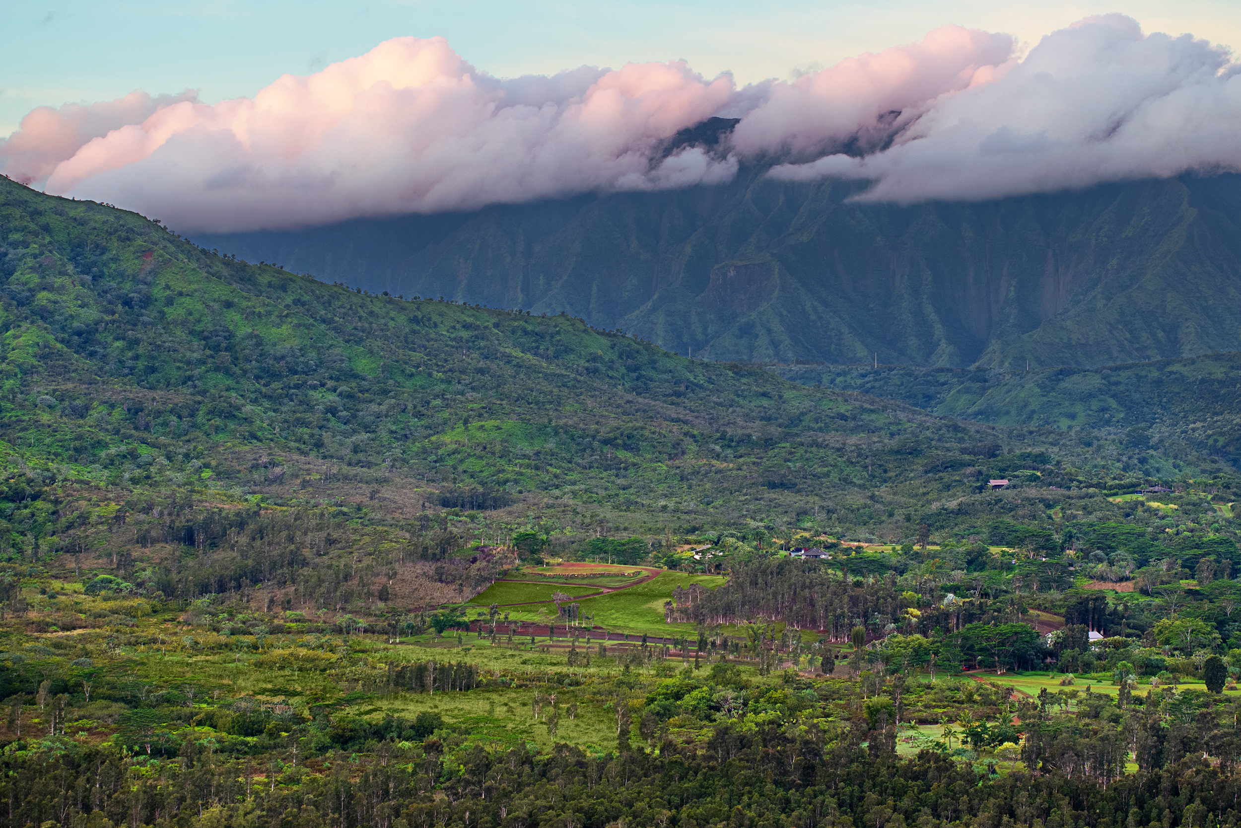 2818 Kamookoa Road, Unit 5 Kilauea, HI 96754 - Photo 7 of 29 a view of a backyard