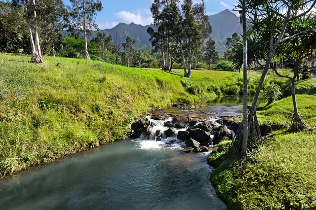 $13,000,000 | 2818 Kamookoa Road, Unit 5, Kilauea, HI 96754