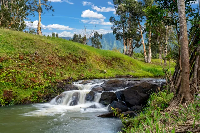 $13,000,000 | 2818 Kamookoa Road, Unit 5, Kilauea, HI 96754