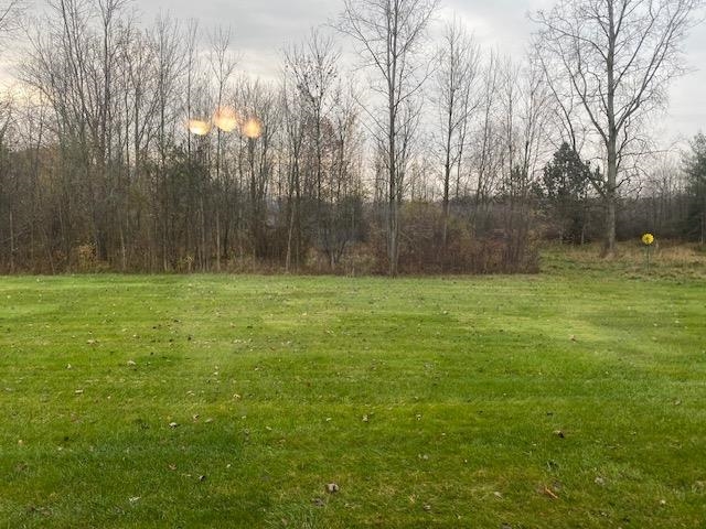 14807 Gould Road Allenton, MI 48002 - Photo 14 of 87 50127009-13.JPG
