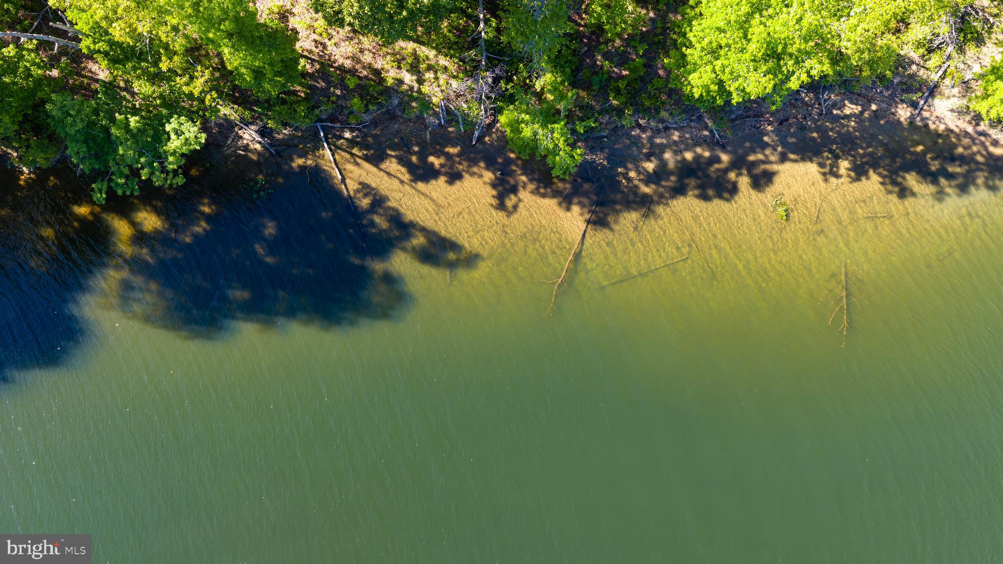 0 Minor Road Bumpass, VA 23024 - Photo 14 of 22 a view of a lake with a tree