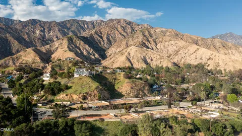 a view of a dry yard with trees