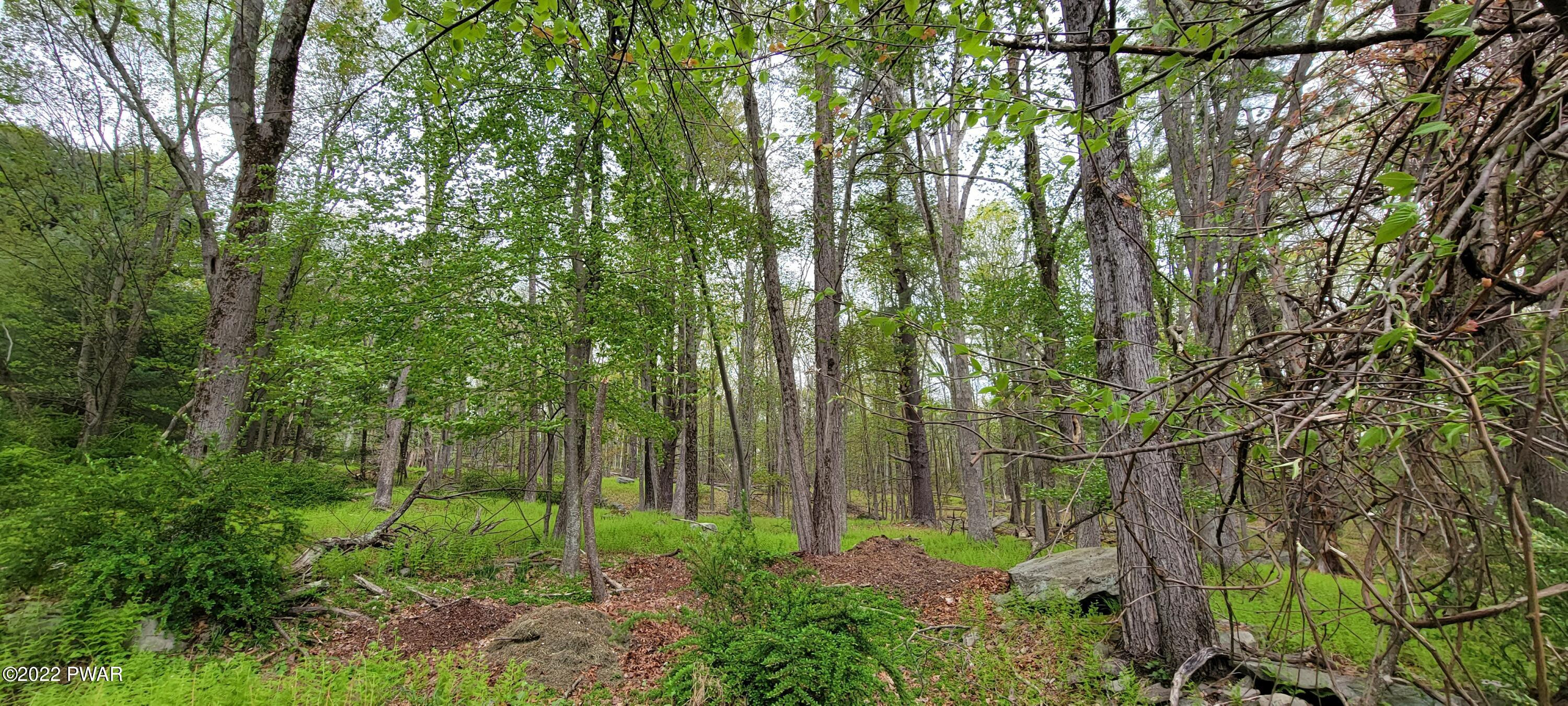 Lot 3 Airport Road Eldred, NY 12732 - Photo 6 of 12