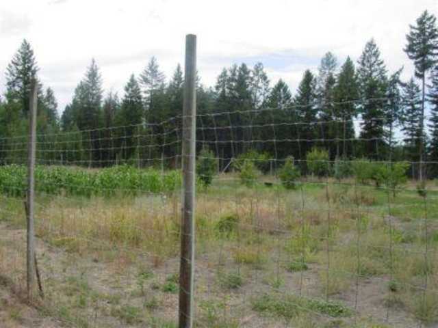 2627 A Scott Road Rice, WA 99167 - Photo 5 of 6