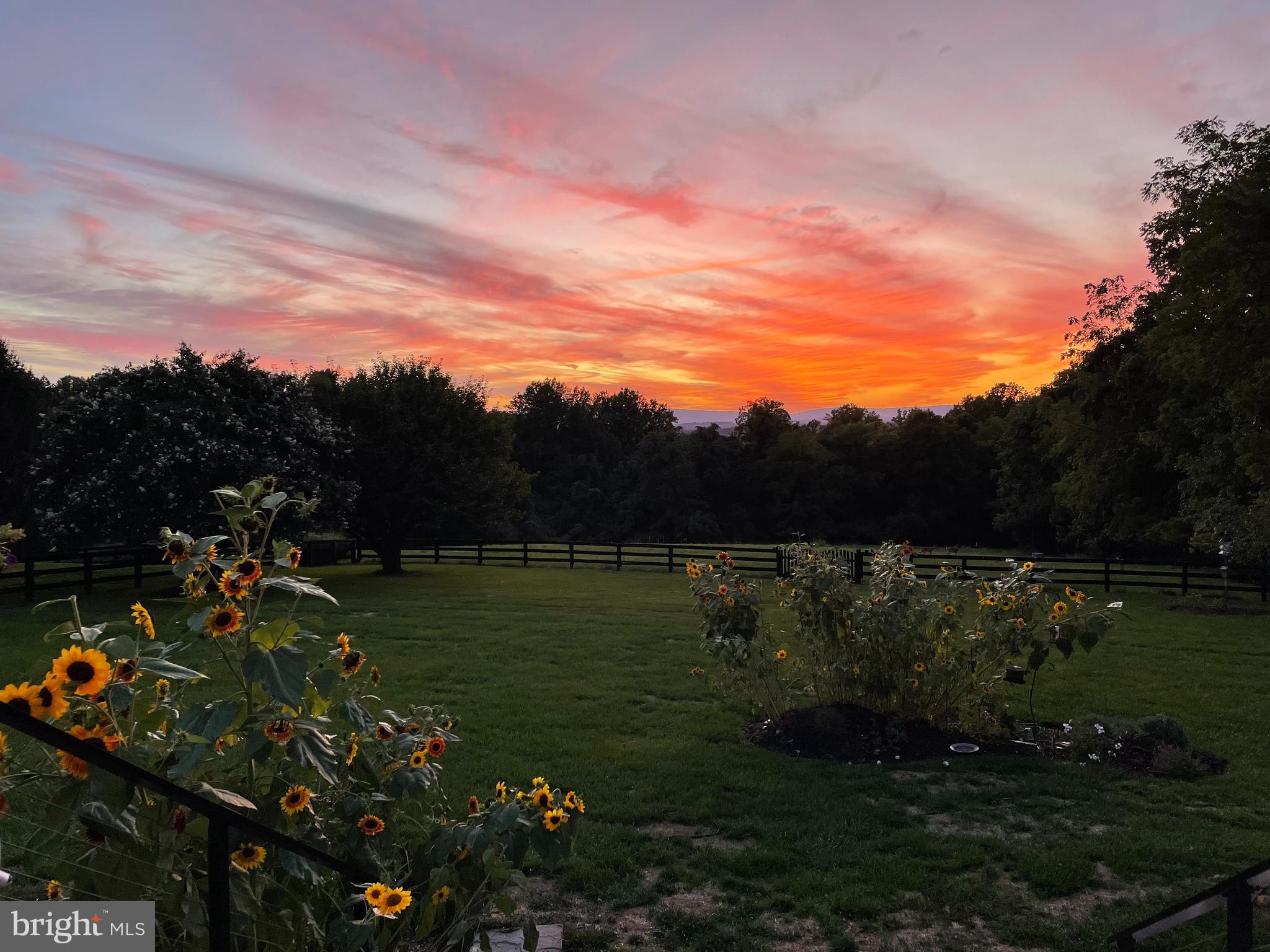 19075 Foxgreen Circle Leesburg, VA 20175 - Photo 5 of 5