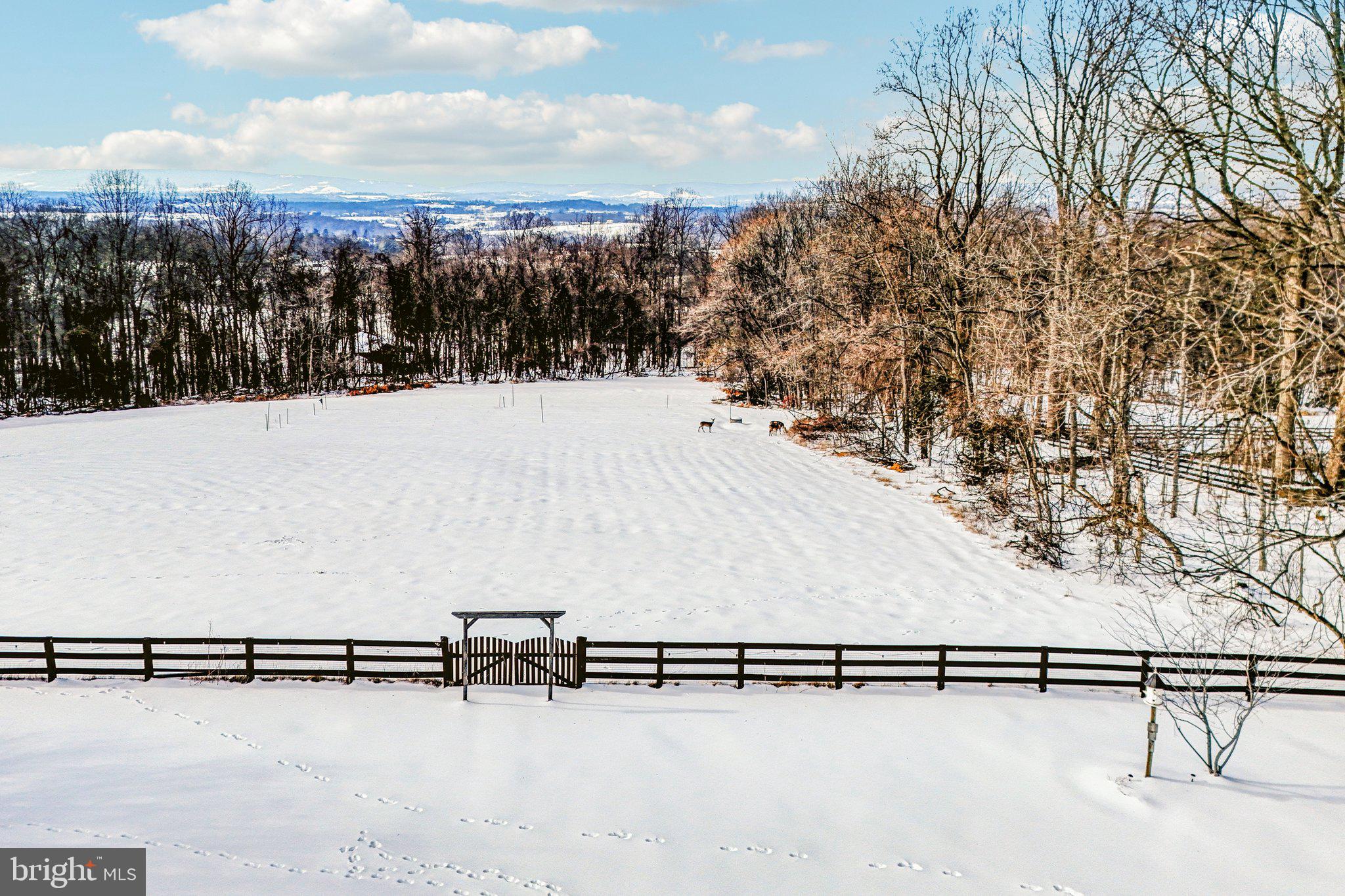 19075 Foxgreen Circle Leesburg, VA 20175 - Photo 66 of 71 a view of outdoor space and mountain view