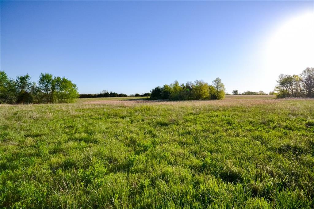 0 East Quail Road Nevada, MO 64772 - Photo 1 of 1