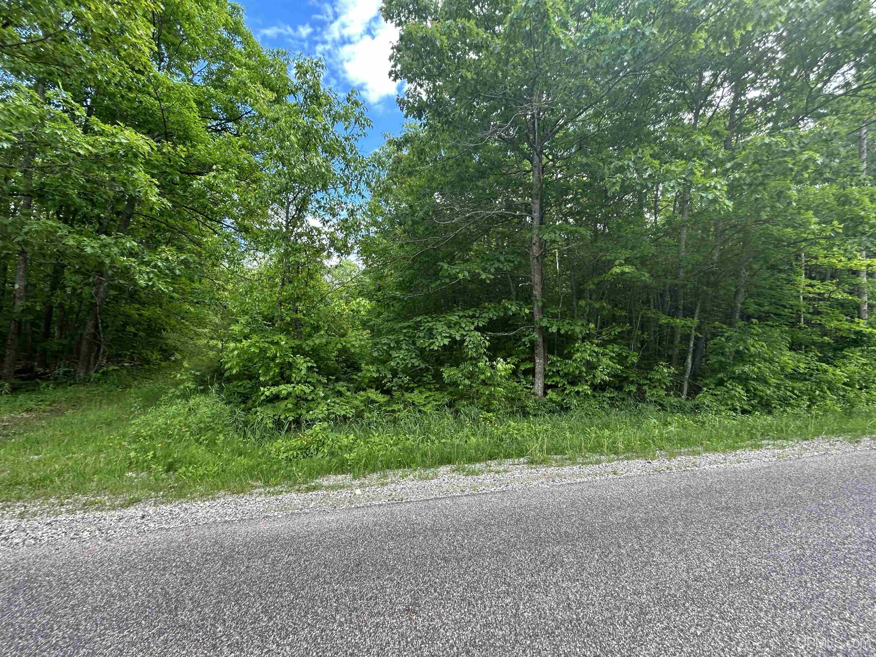 Tbd North Carlshend Road Skandia, MI 49885 - Photo 2 of 6