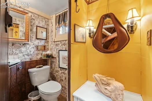 6015 Sioux Trail Cascade, CO 80809 - Photo 20 of 42 a bathroom with a toilet and a sink
