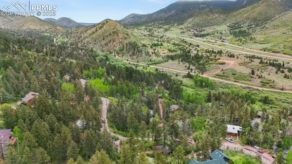 6015 Sioux Trail Cascade, CO 80809 - Photo 37 of 42 a view of a forest with mountains in the background
