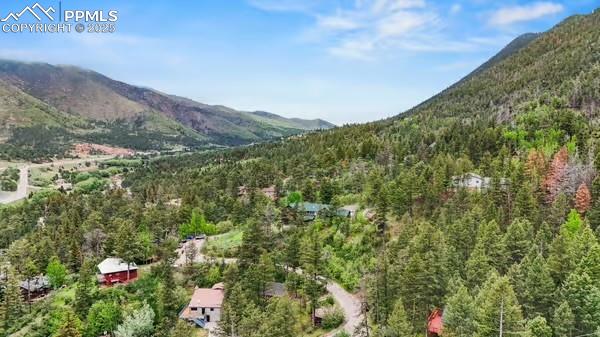 6015 Sioux Trail Cascade, CO 80809 - Photo 38 of 42 a view of a forest with a mountain in the background