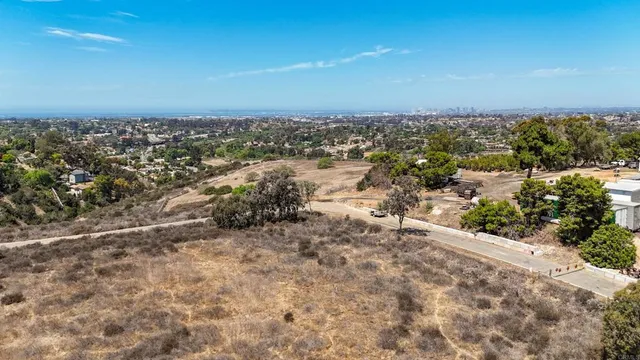 a view of a dry field with trees in the background