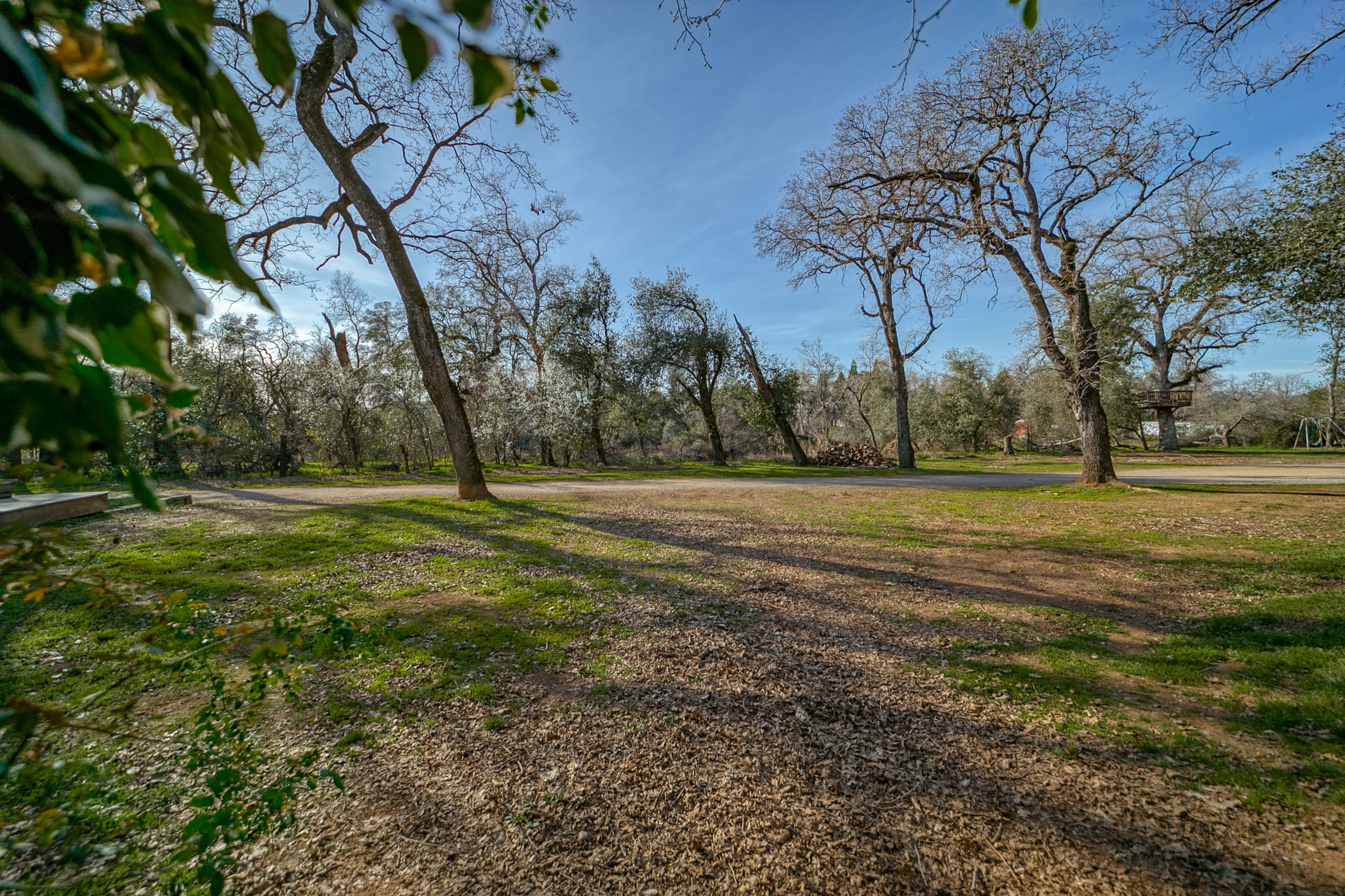 20582 Dersch Road Anderson, CA 96007 - Photo 45 of 72 land view