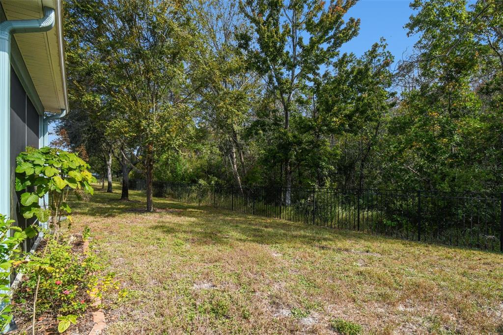 11150 Paradise Pointe Way New Port Richey, FL 34654 - Photo 38 of 91 a backyard of a house with lots of green space and fountain