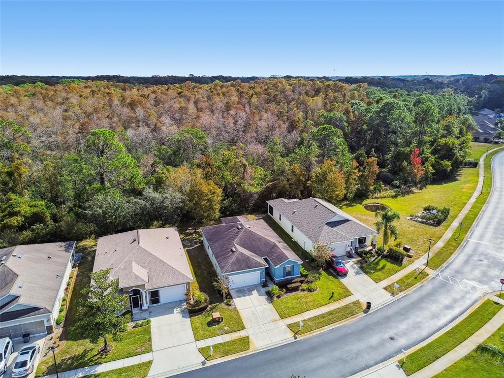 11150 Paradise Pointe Way New Port Richey, FL 34654 - Photo 39 of 91